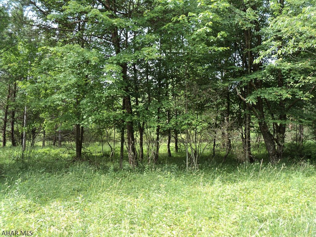 141 Tire Road Strongstown, PA 15957 - Photo 9 of 48
