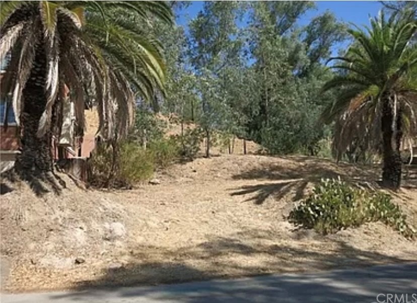 a view of dirt yard with a tree