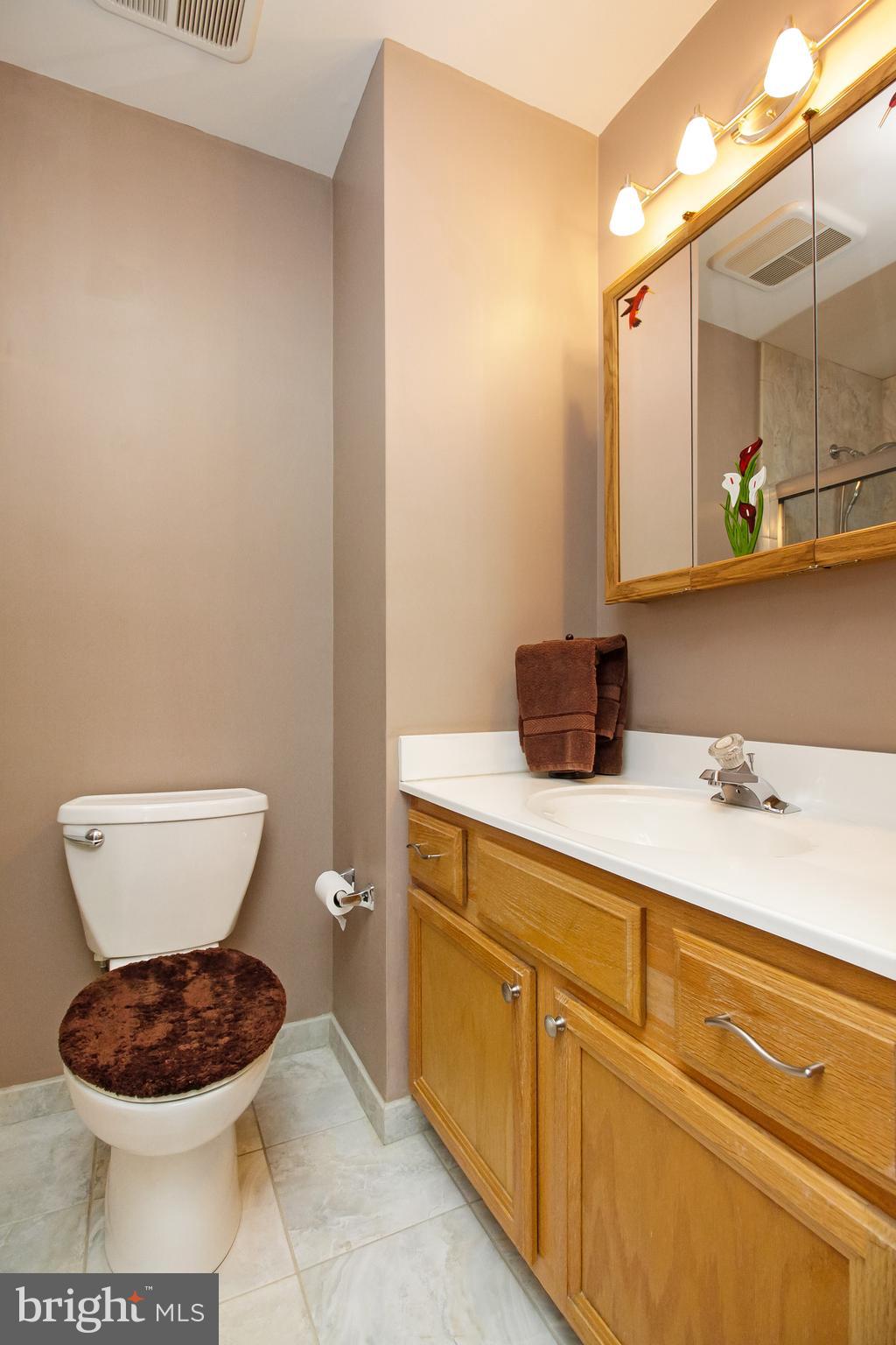 179 Ridgewood Way Burlington, NJ 08016 - Photo 31 of 42 Updated 2nd Full Bathroom