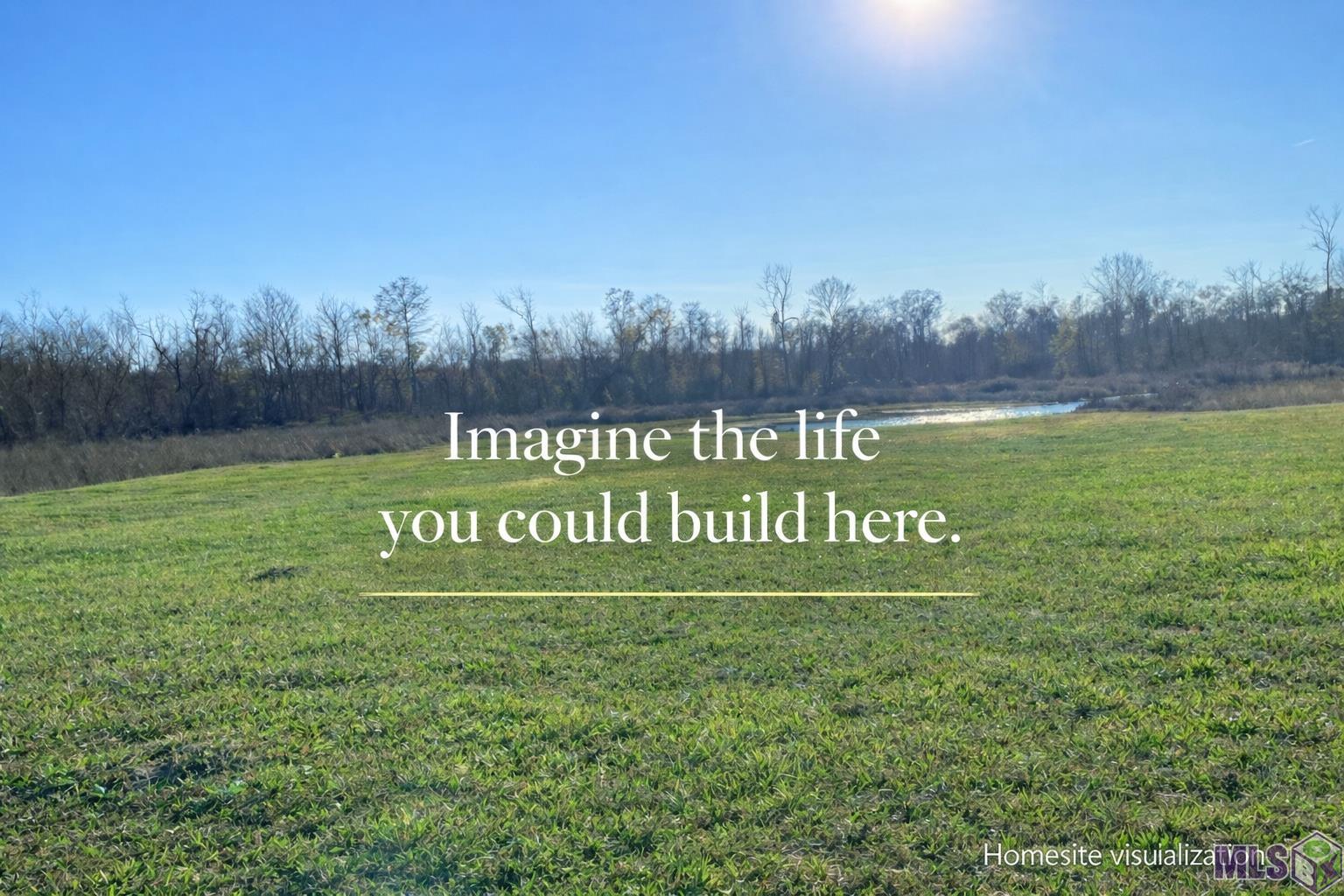 8557 New River Road St. Amant, LA 70774 - Photo 2 of 9