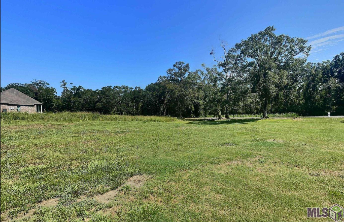 8557 New River Road St. Amant, LA 70774 - Photo 4 of 9