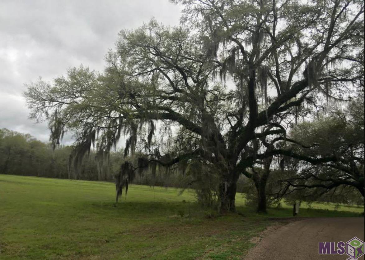 8557 New River Road St. Amant, LA 70774 - Photo 6 of 9