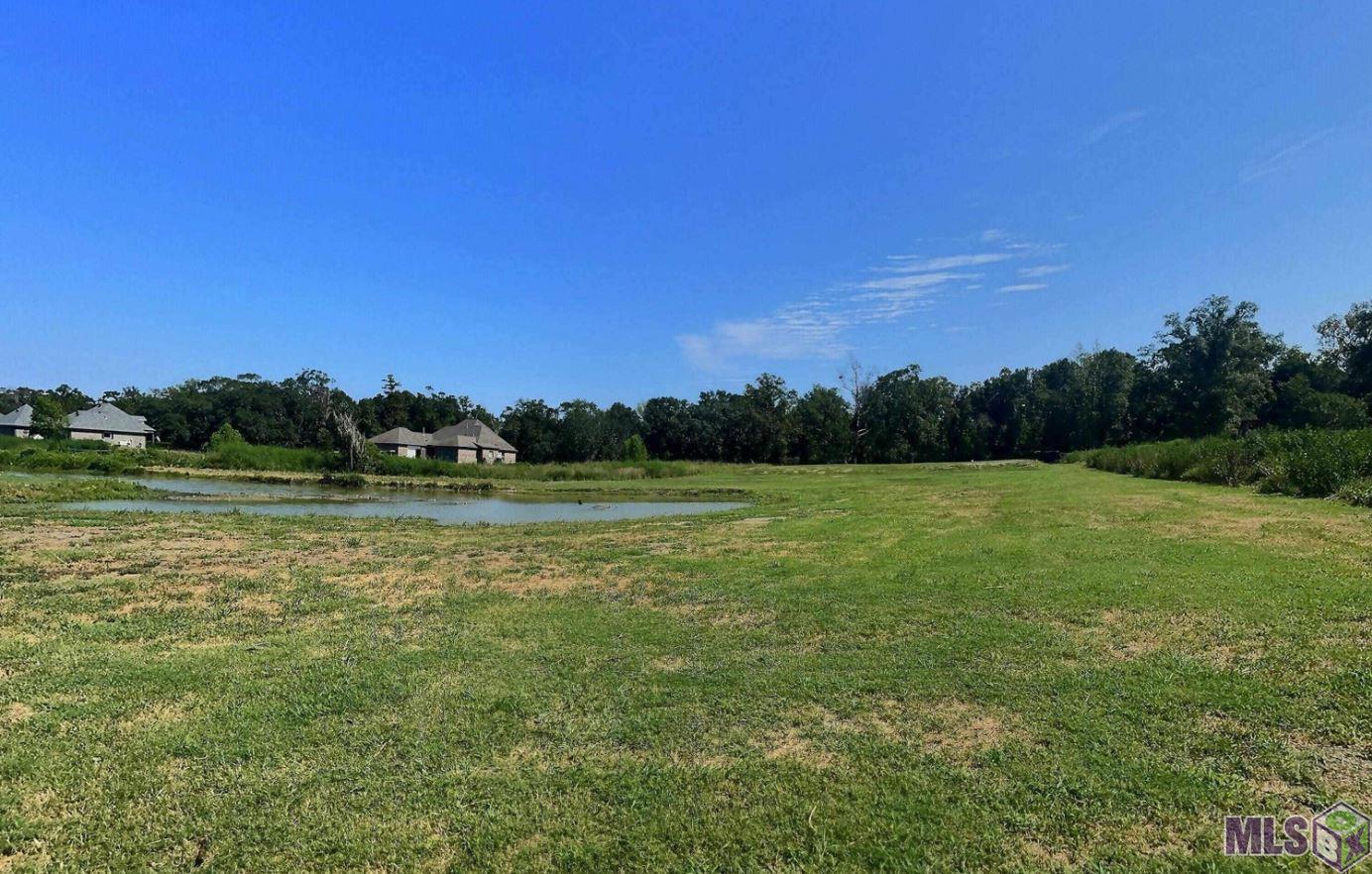 8557 New River Road St. Amant, LA 70774 - Photo 8 of 9