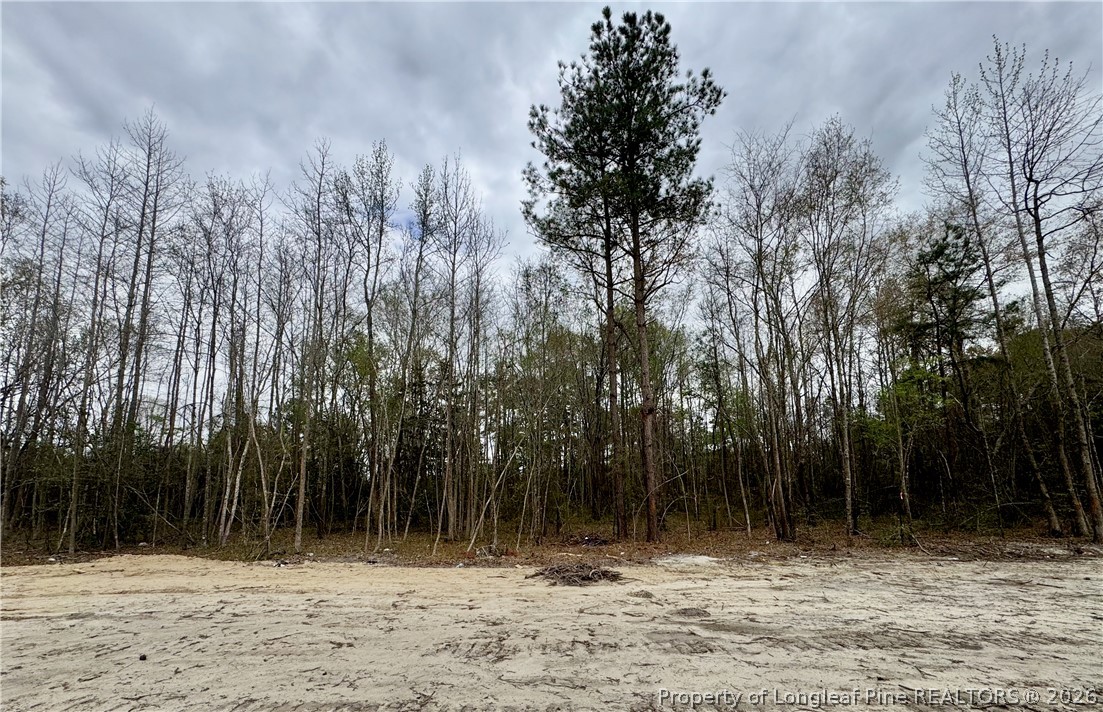 4950 Philippi Church Road Raeford, NC 28376 - Photo 8 of 29