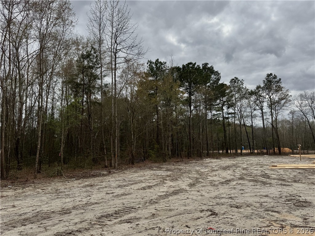4950 Philippi Church Road Raeford, NC 28376 - Photo 9 of 29