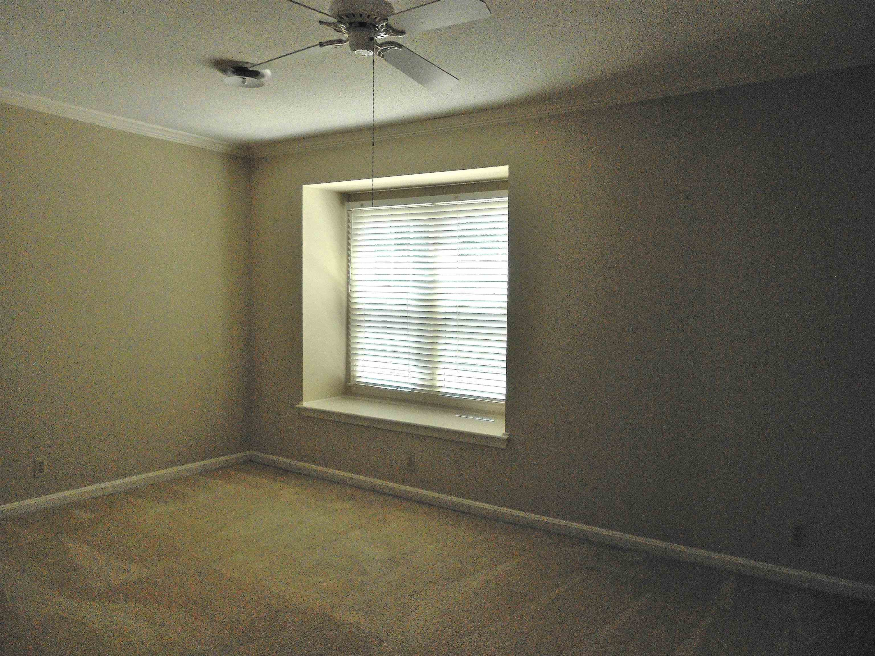 3041 Wycliff Road Raleigh, NC 27607 - Photo 16 of 25 Secondary Bedroom