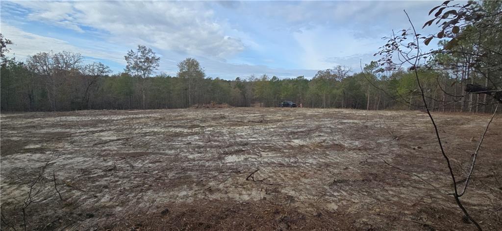 377 Ridge Road Seale, AL 36875 - Photo 11 of 15 Gallery Image 11