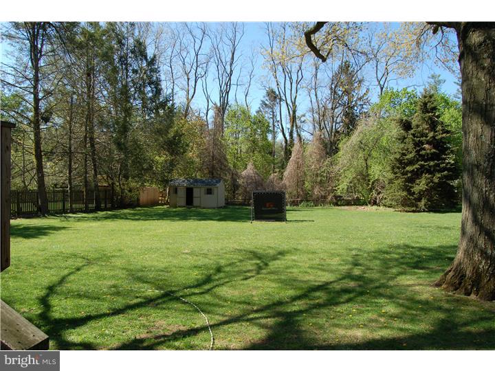 408 Conestoga Road Wayne, PA 19087 - Photo 25 of 25 Back Yard