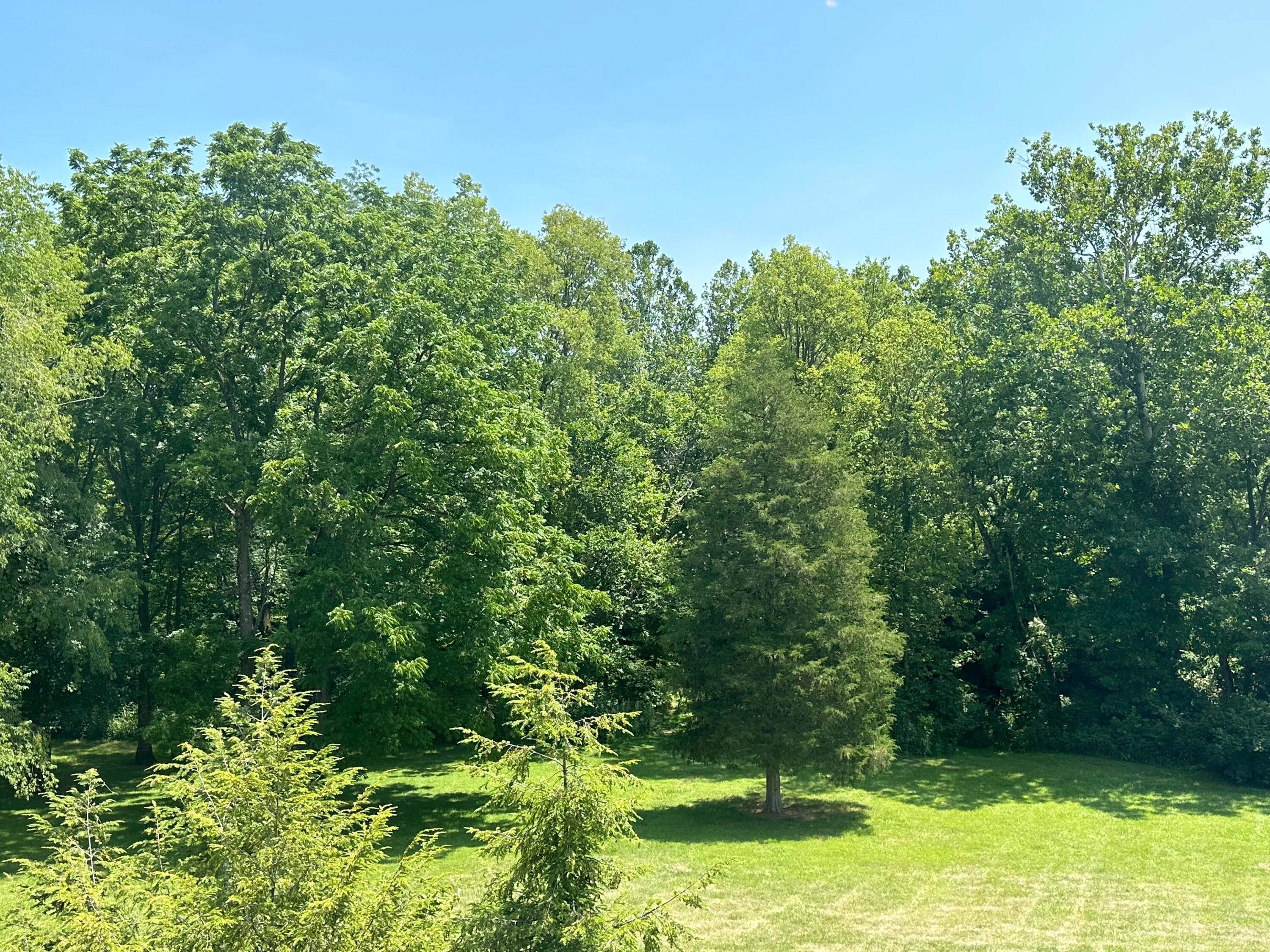 7540 Limes Road, Unit SE Greenfield, OH 45123 - Photo 63 of 66 IMG_6931