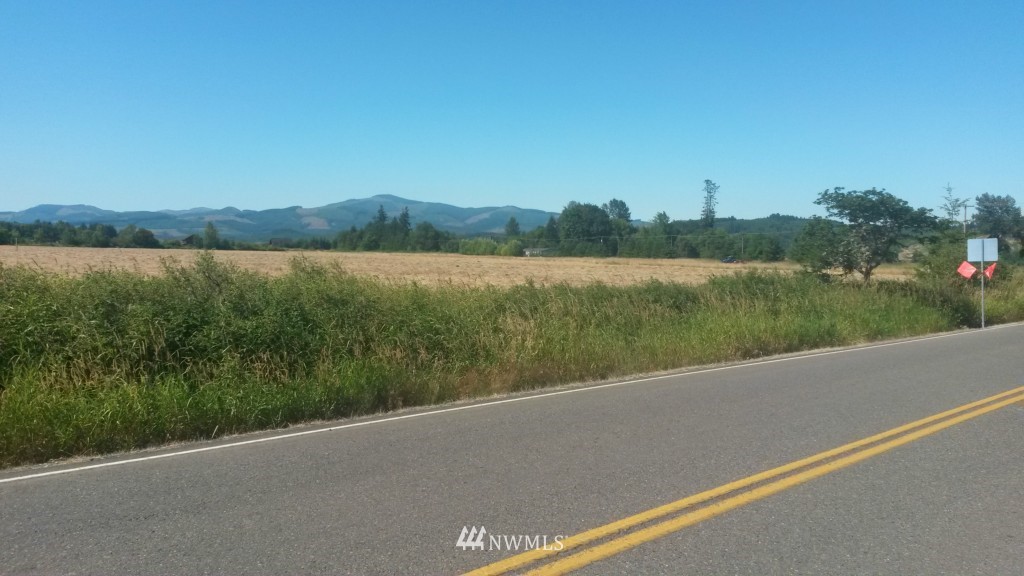 -xx Boistfort Road Chehalis, WA 98532 - Photo 3 of 4
