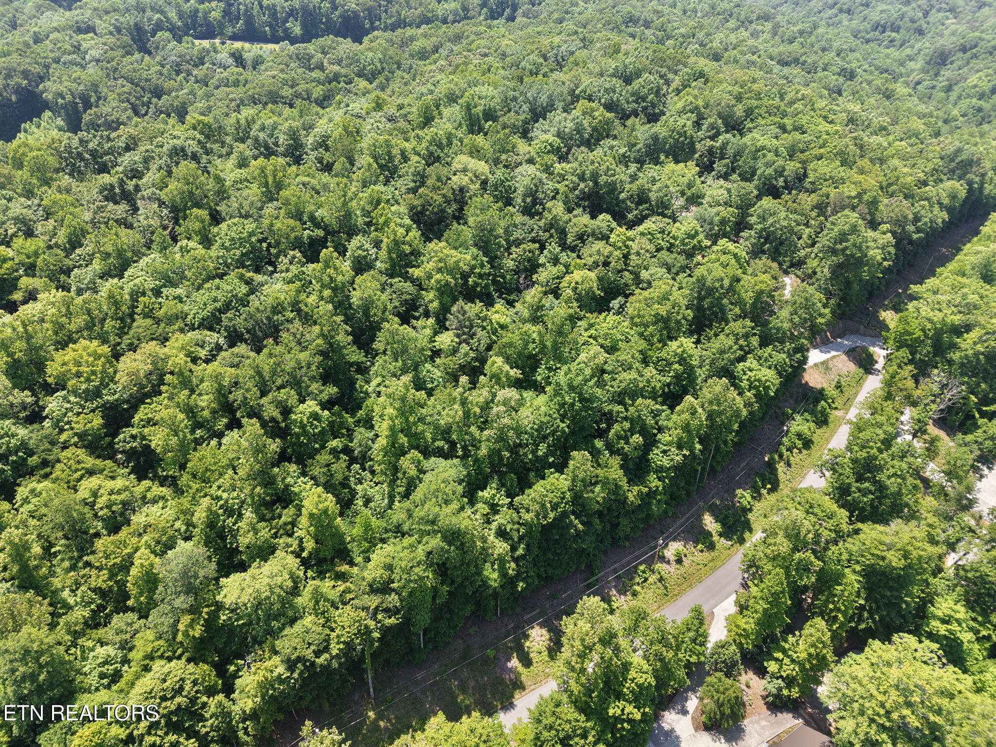 Yoakum Hollow Road Jacksboro, TN 37757 - Photo 9 of 17 6-web-or-mls-DJI_20260518131346_0012_D