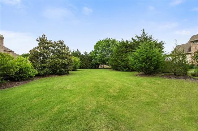 a view of a big yard with a tree