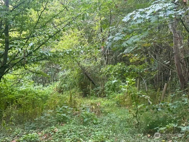 $69,900 | 1517 Southwest 124th Street, Burien, WA 98146