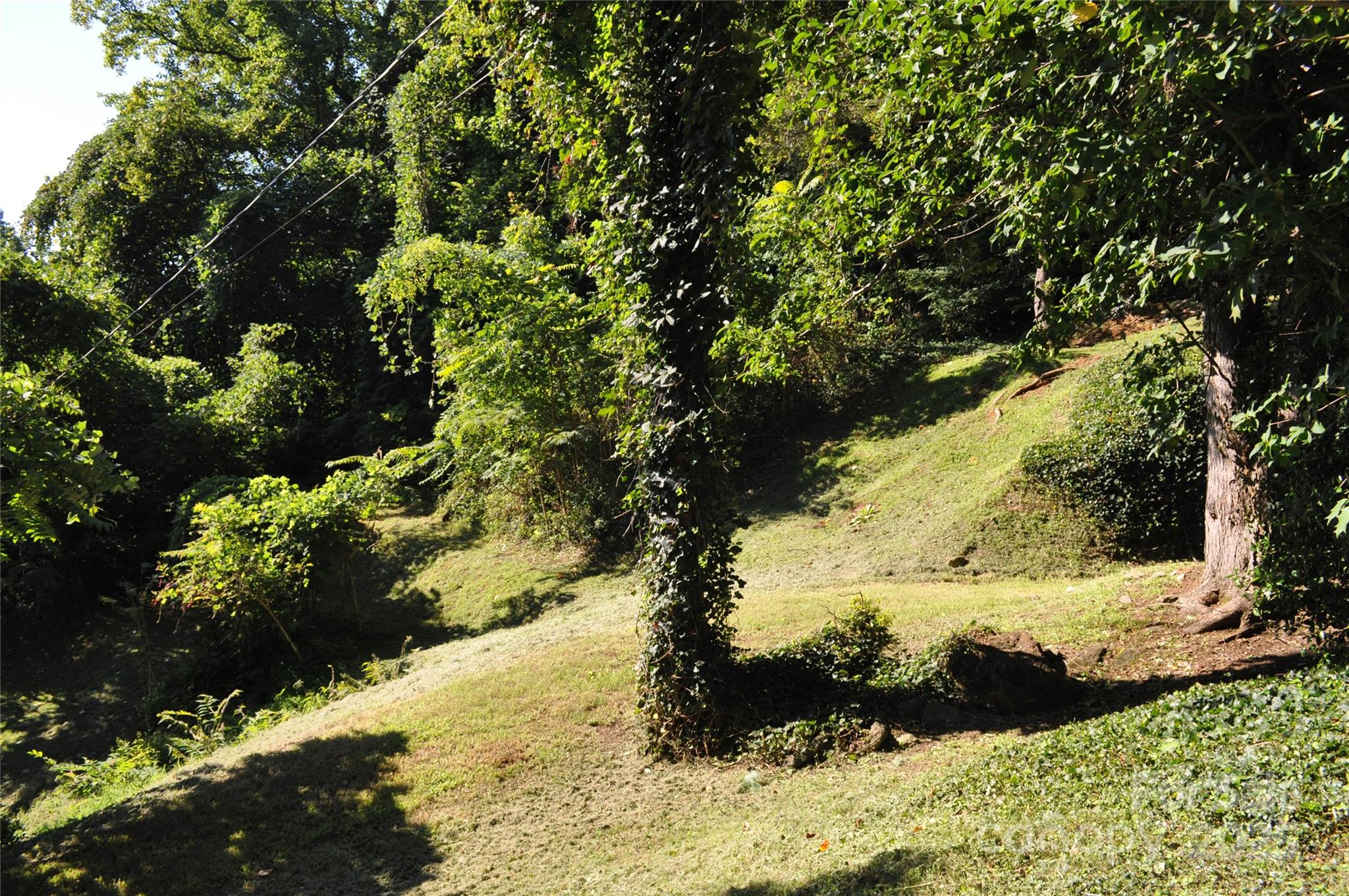 502 Meadowlark Drive Tryon, NC 28782 - Photo 35 of 40 a view of a yard with a tree