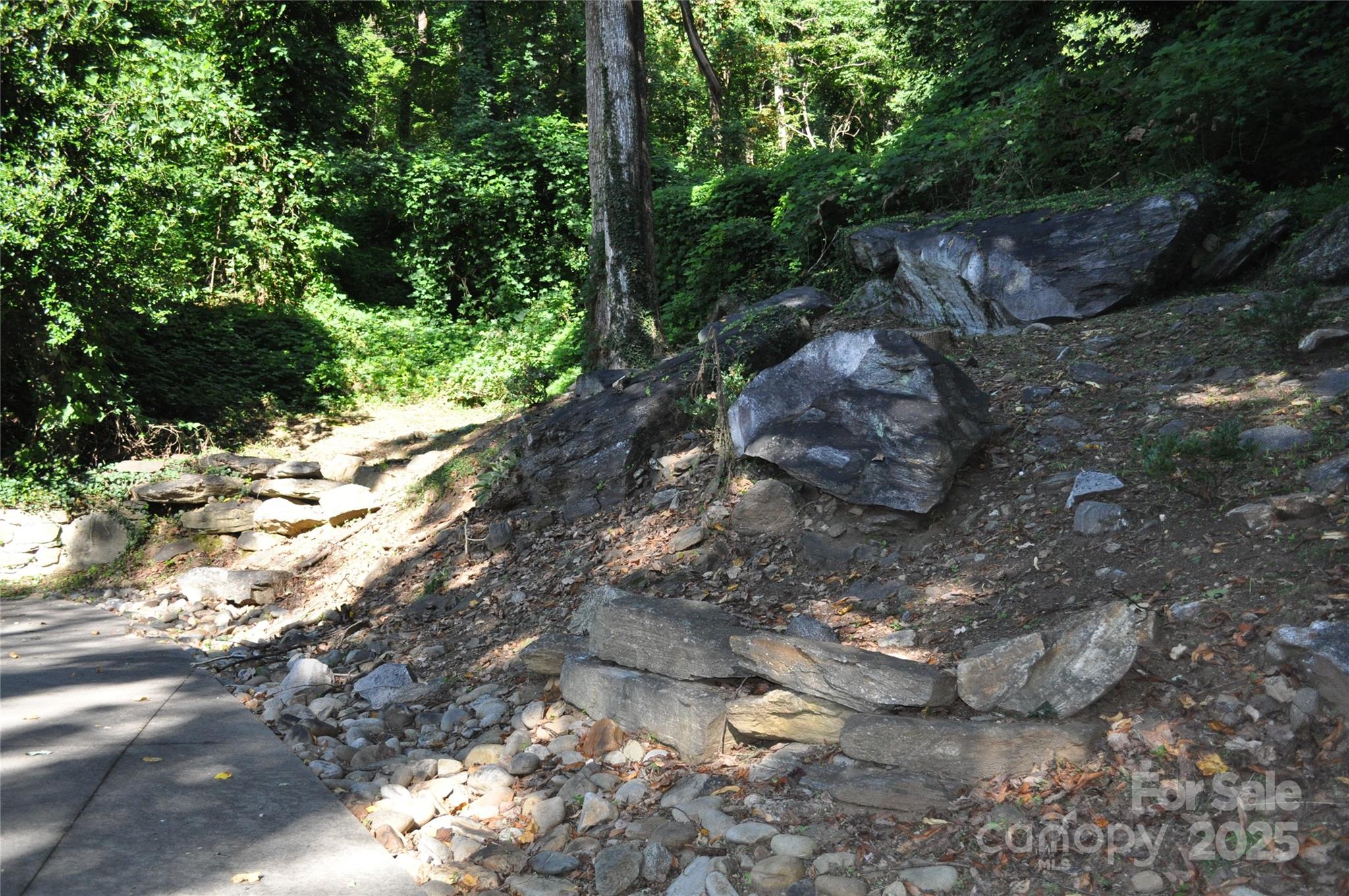 502 Meadowlark Drive Tryon, NC 28782 - Photo 36 of 40 a view of a tree