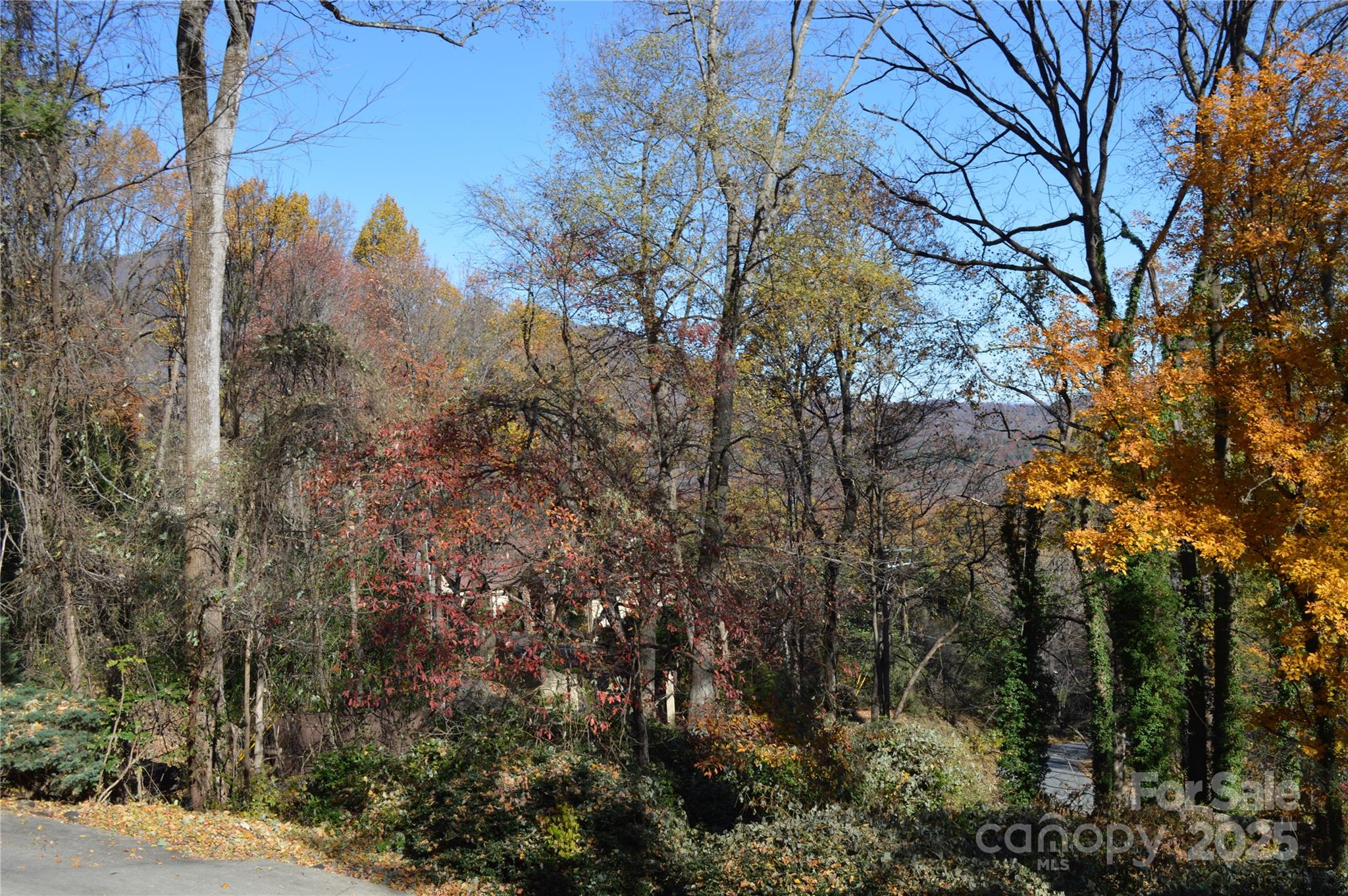 502 Meadowlark Drive Tryon, NC 28782 - Photo 37 of 40 a view of a city with lots of trees
