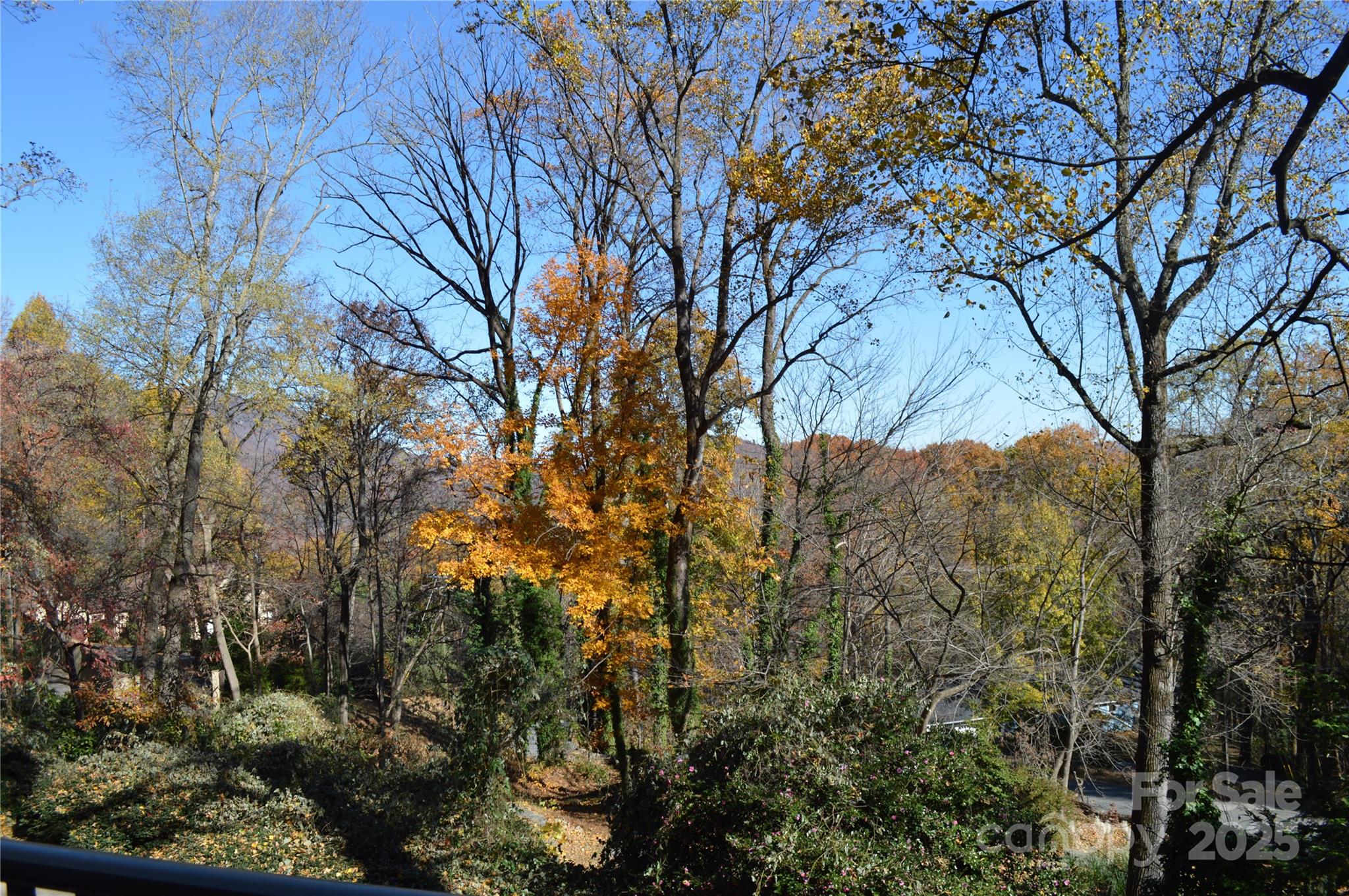502 Meadowlark Drive Tryon, NC 28782 - Photo 38 of 40 a view of mountain view with lots of trees