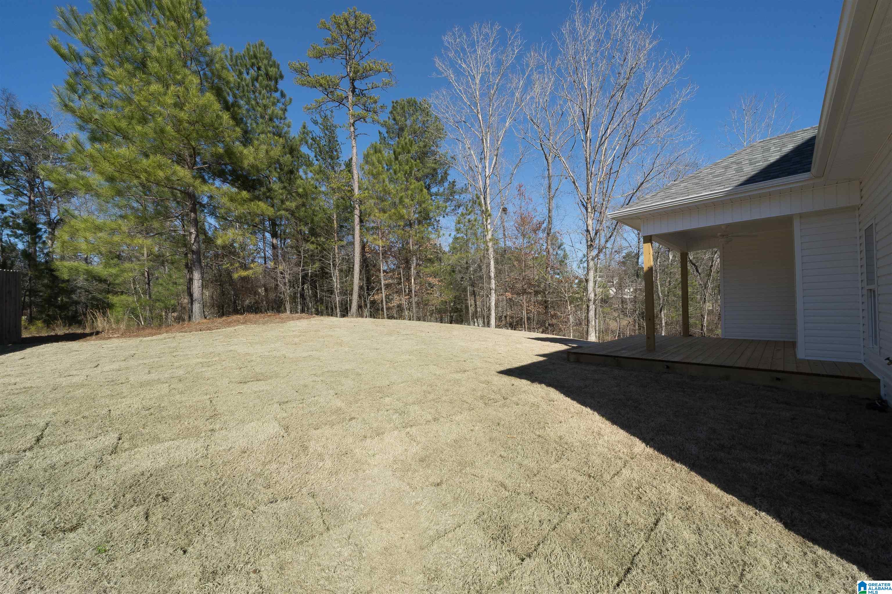 116 Bolivar Lane Chelsea, AL 35043 - Photo 56 of 56