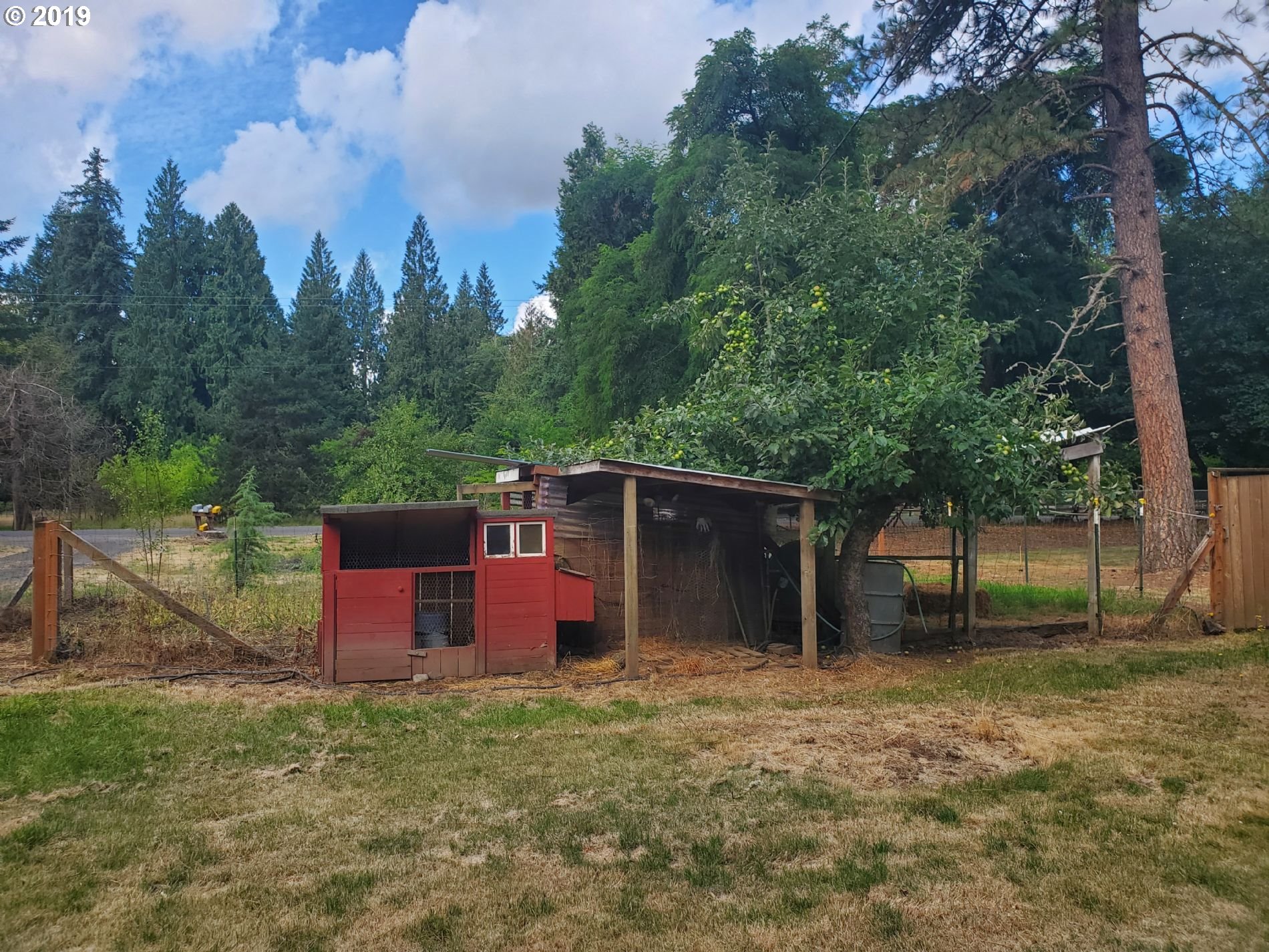 31838 South Shady Dell Road Molalla, OR 97038 - Photo 12 of 14 Gallery Image 12