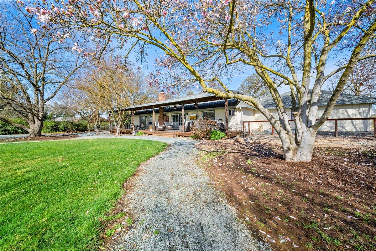 9777 Tavernor Road Wilton, CA 95693 - Photo 37 of 59 a front view of a house with yard and green space