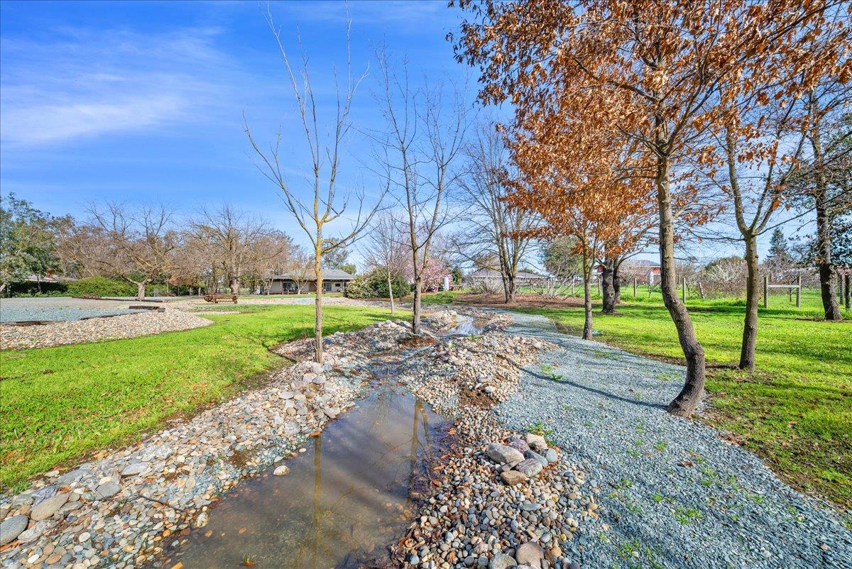 9777 Tavernor Road Wilton, CA 95693 - Photo 47 of 59 a view of a park with large trees