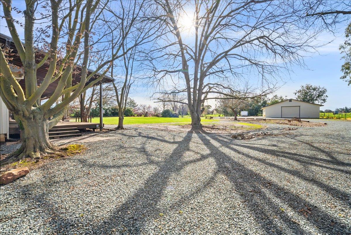9777 Tavernor Road Wilton, CA 95693 - Photo 49 of 59 a view of yard with trees