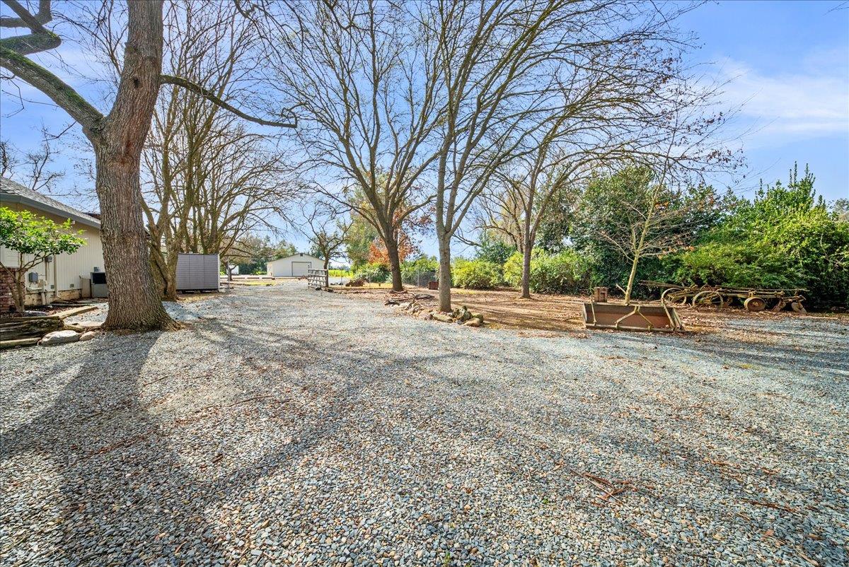 9777 Tavernor Road Wilton, CA 95693 - Photo 50 of 59 a view of road with large trees