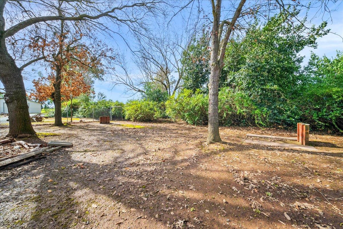 9777 Tavernor Road Wilton, CA 95693 - Photo 51 of 59 a view of yard with tree