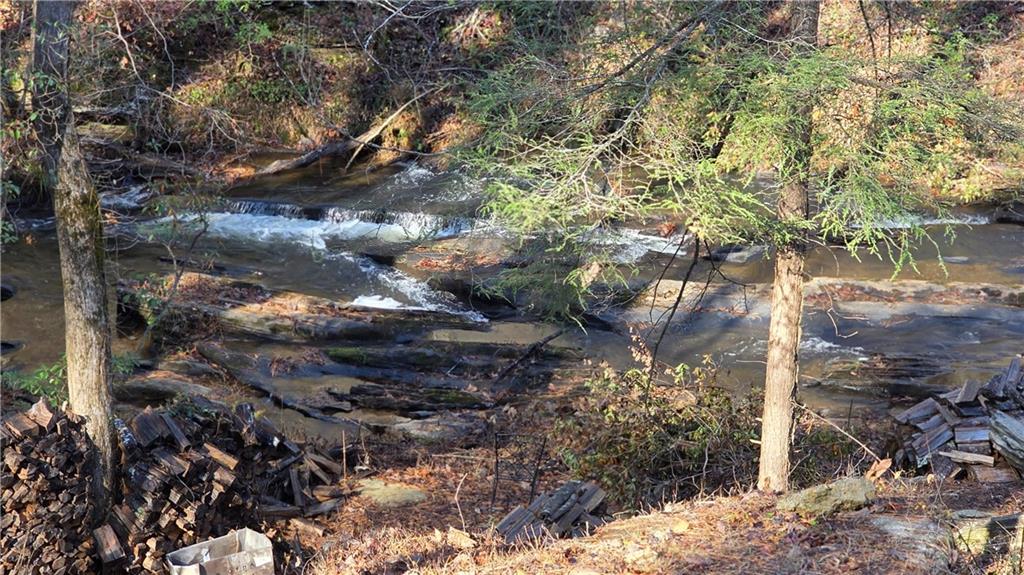 0 Dell Moore Road Marble Hill, GA 30148 - Photo 1 of 7 a view of a tree with a yard