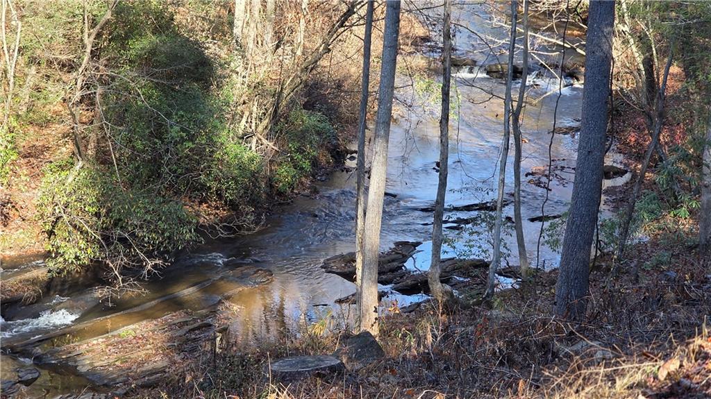 0 Dell Moore Road Marble Hill, GA 30148 - Photo 2 of 7 a aerial view of a yard with plants and trees