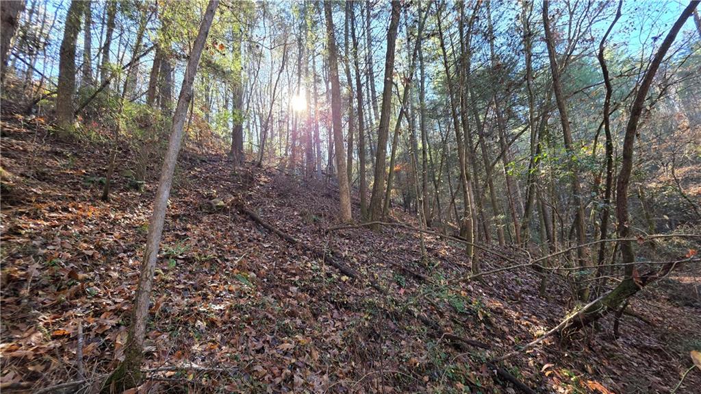 0 Dell Moore Road Marble Hill, GA 30148 - Photo 3 of 7 a view of a forest