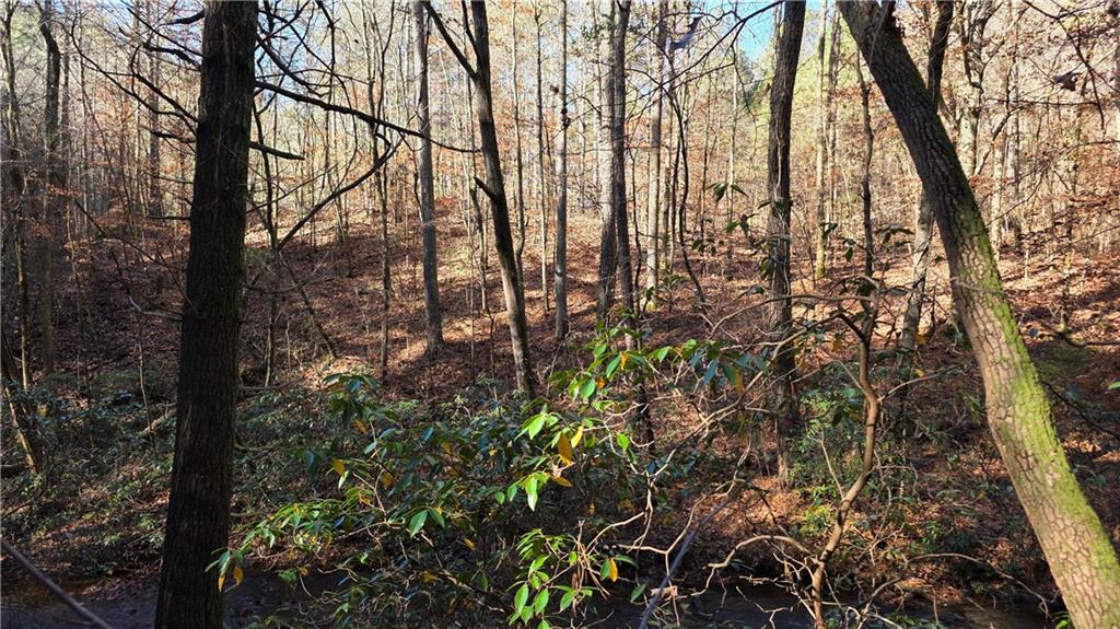 0 Dell Moore Road Marble Hill, GA 30148 - Photo 4 of 7 a view of forest