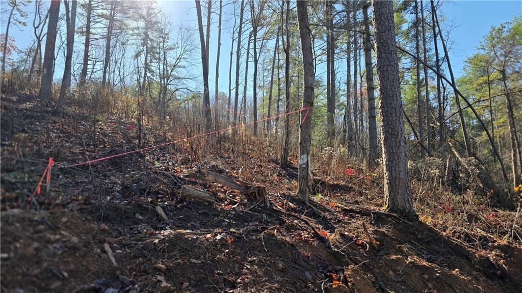 0 Dell Moore Road Marble Hill, GA 30148 - Photo 5 of 7 a view of backyard with green space