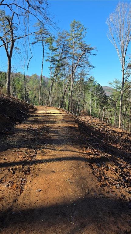 0 Dell Moore Road Marble Hill, GA 30148 - Photo 6 of 7 a view of a yard in a yard