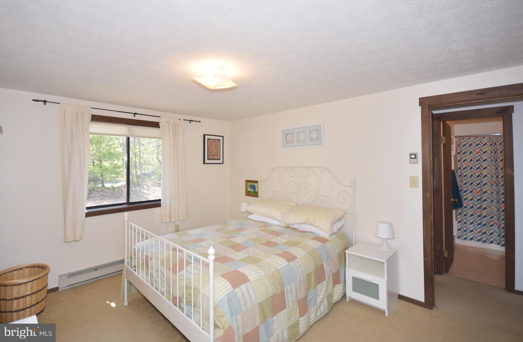 487 Timber Ridge Lane Mount Jackson, VA 22842 - Photo 20 of 27 Bedroom