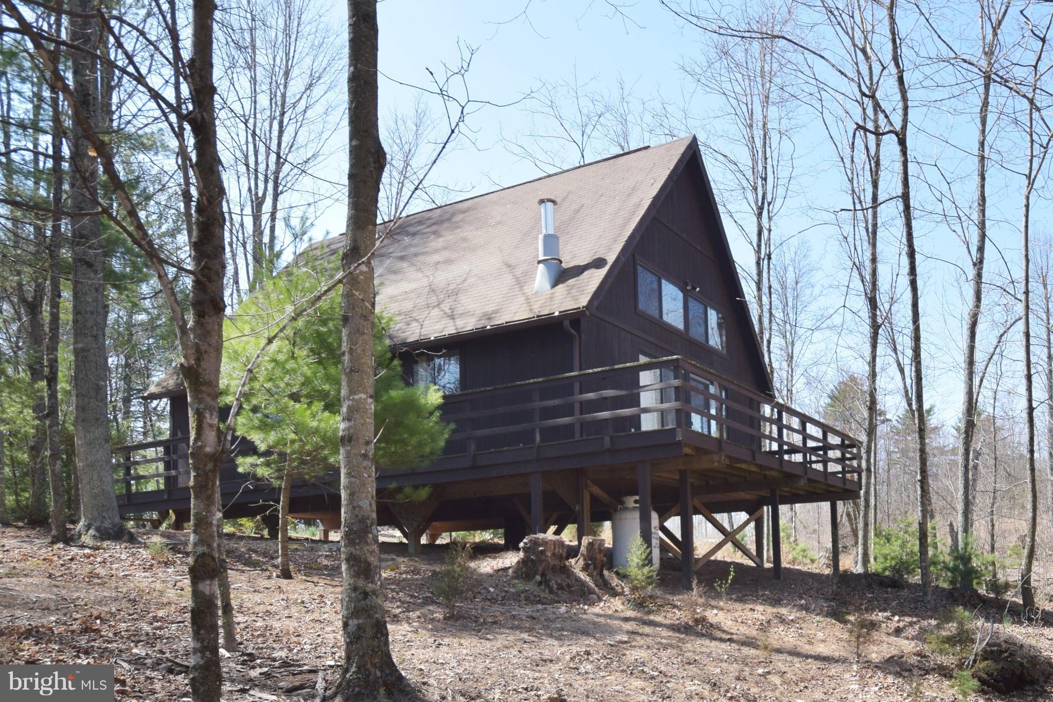 487 Timber Ridge Lane Mount Jackson, VA 22842 - Photo 3 of 27 Exterior (General)