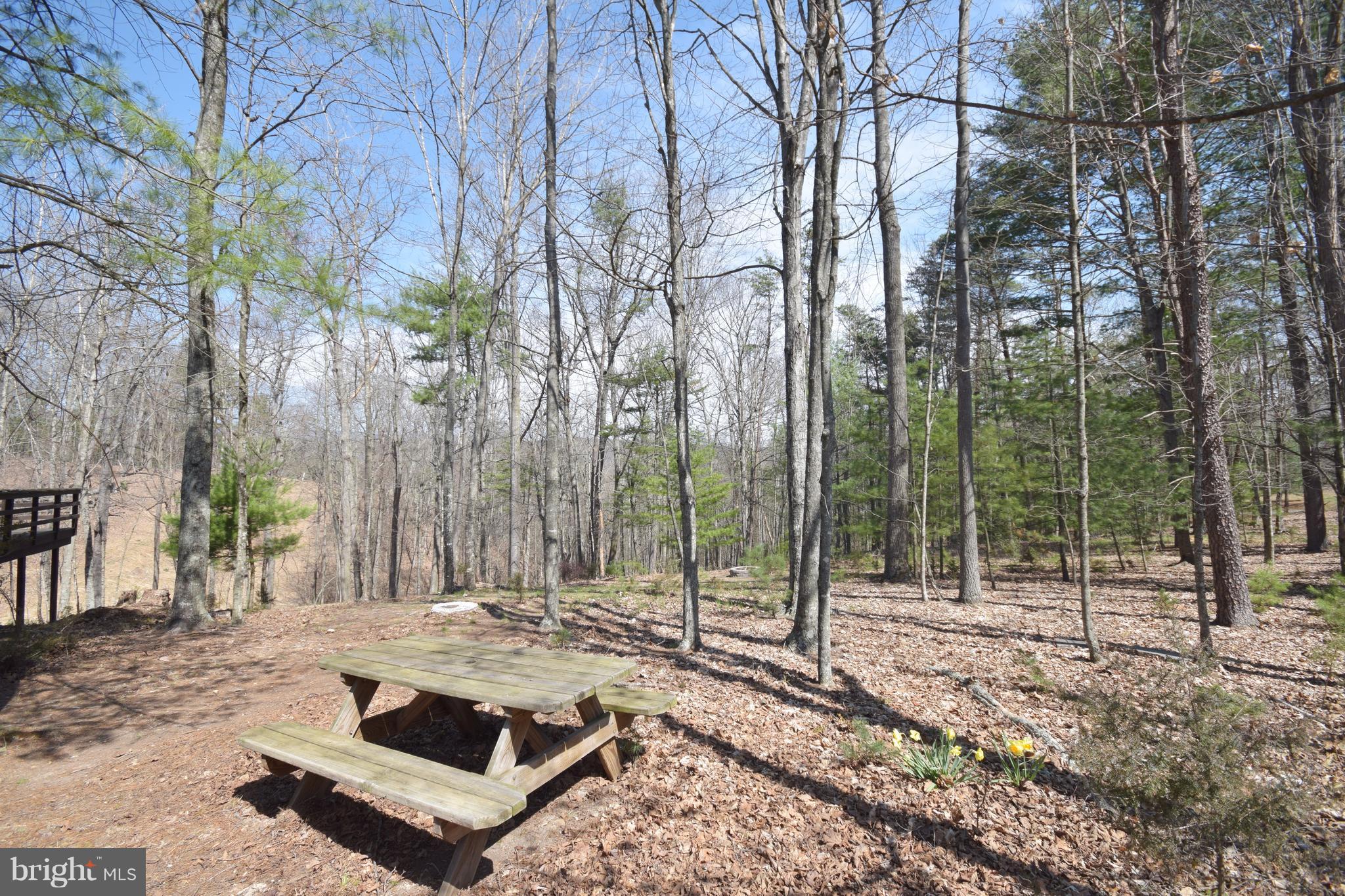 487 Timber Ridge Lane Mount Jackson, VA 22842 - Photo 8 of 27 View