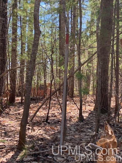 Lot 5 West Lost Lake Road Wetmore, MI 49862 - Photo 11 of 12