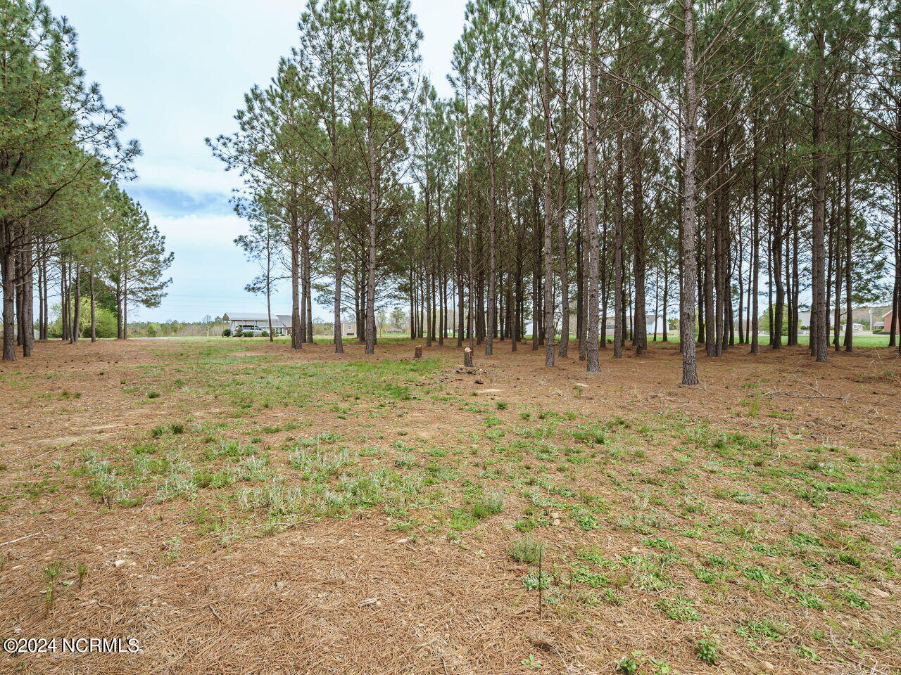 600 Wilder Road Middlesex, NC 27557 - Photo 29 of 33 028-1280x960-rear-view