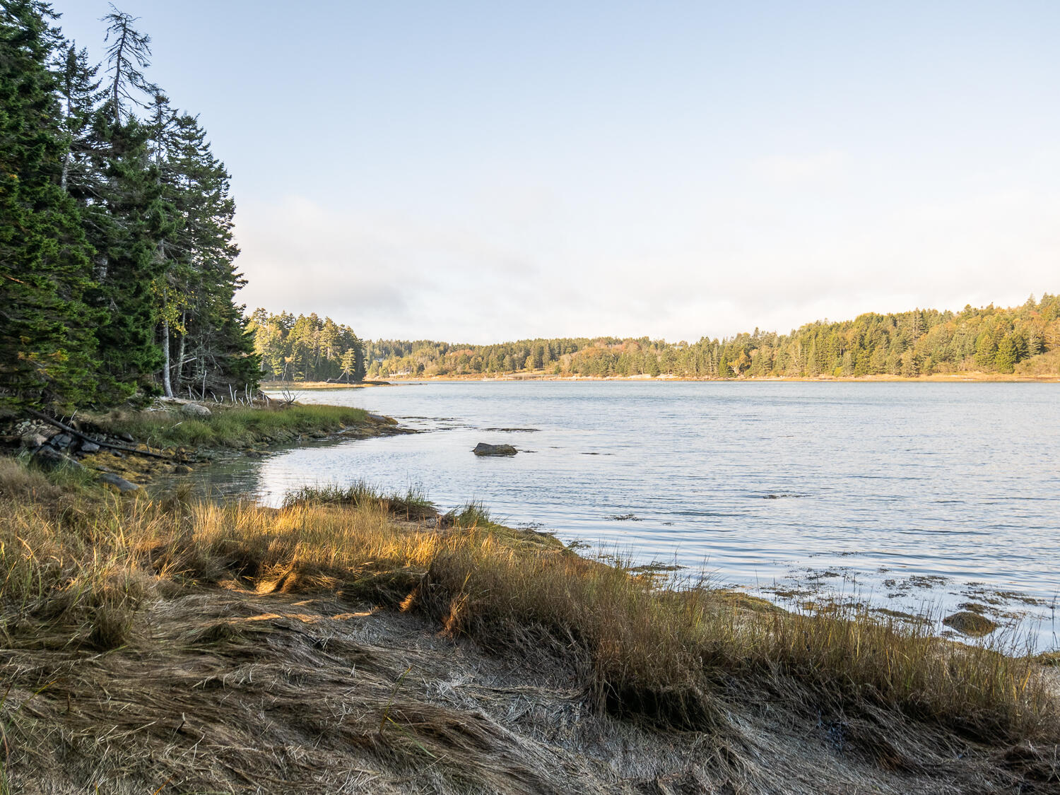 63 Minturn Road Swans Island, ME 04685 - Photo 11 of 16 Waterfront 63 Minturn Rd