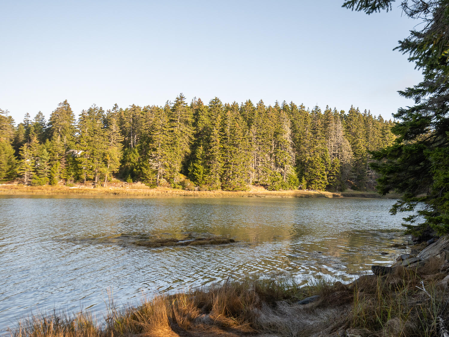 63 Minturn Road Swans Island, ME 04685 - Photo 12 of 16 Waterfront 63 Minturn Rd