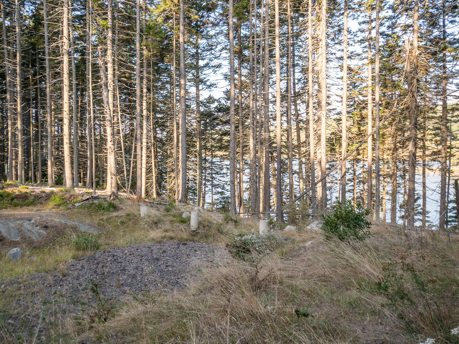 63 Minturn Road Swans Island, ME 04685 - Photo 13 of 16 Waterfront 63 Minturn Rd