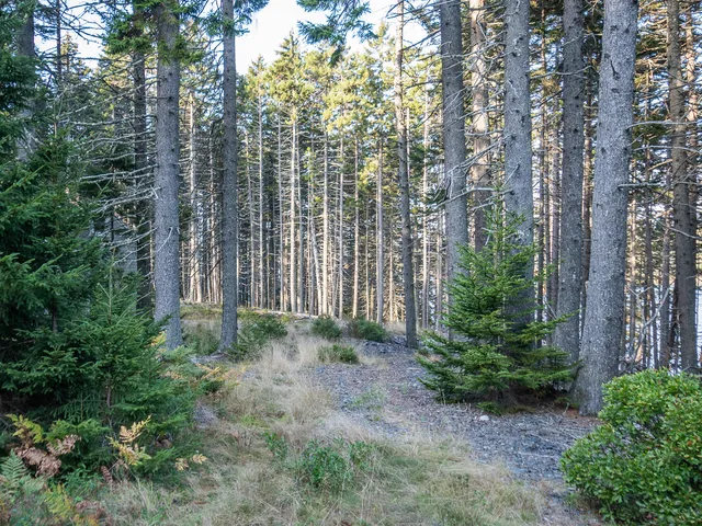 $250,000 | 63 Minturn Road, Swans Island, ME 04685