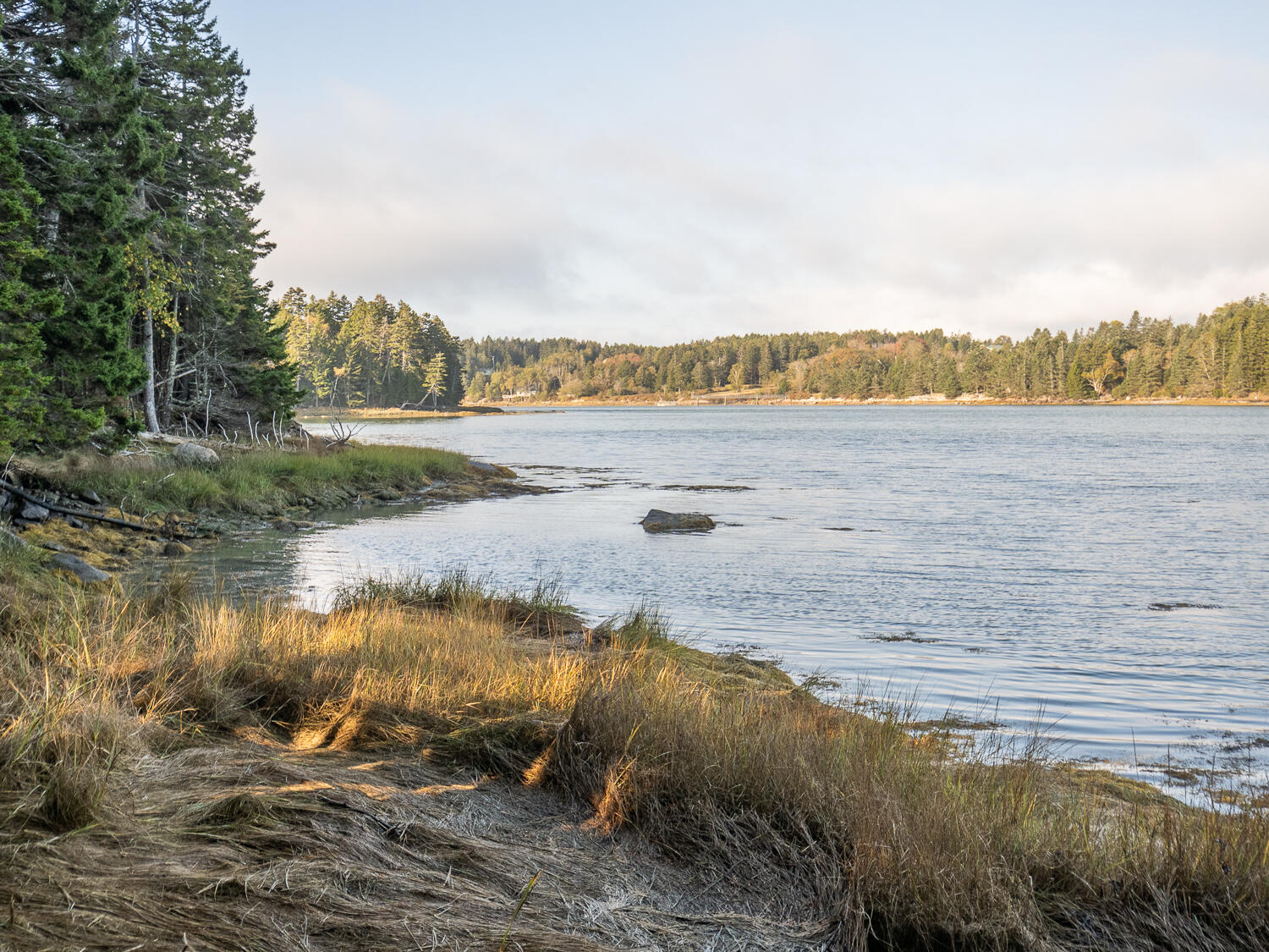 63 Minturn Road Swans Island, ME 04685 - Photo 16 of 16 Waterfront 63 Minturn Rd