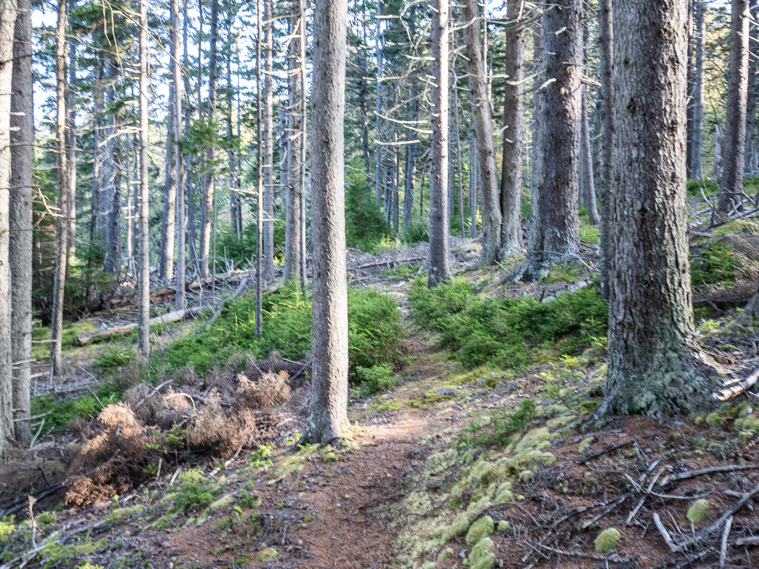 63 Minturn Road Swans Island, ME 04685 - Photo 8 of 16 Waterfront 63 Minturn Rd