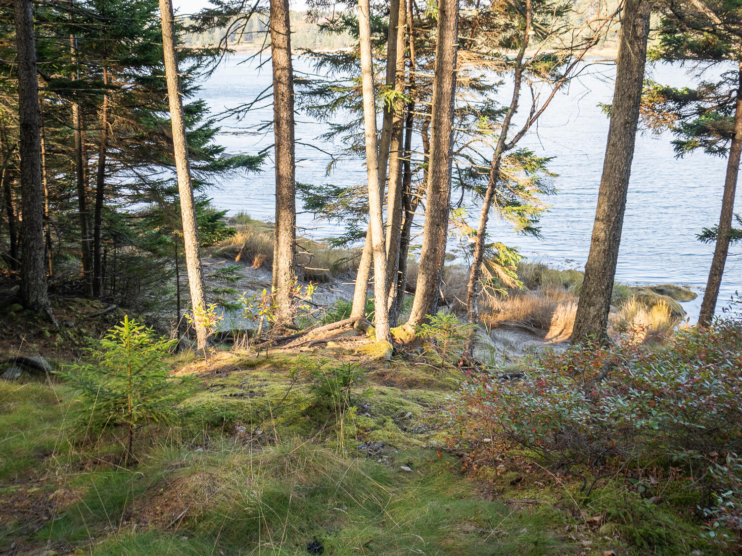 63 Minturn Road Swans Island, ME 04685 - Photo 10 of 16 Waterfront 63 Minturn Rd