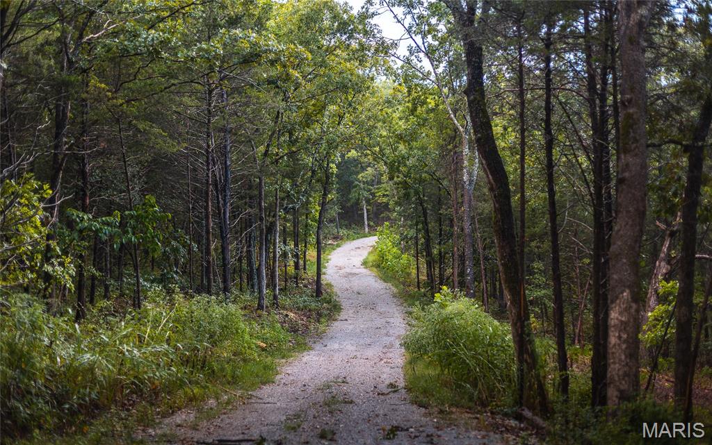 0 Highway 67 Festus, MO 63028 - Photo 11 of 38