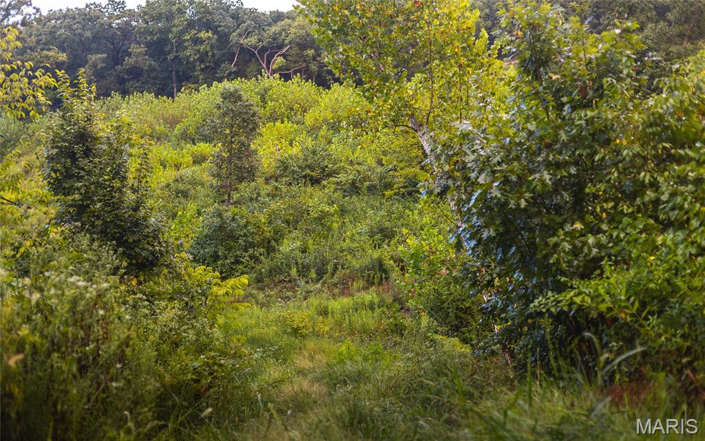 0 Highway 67 Festus, MO 63028 - Photo 12 of 38