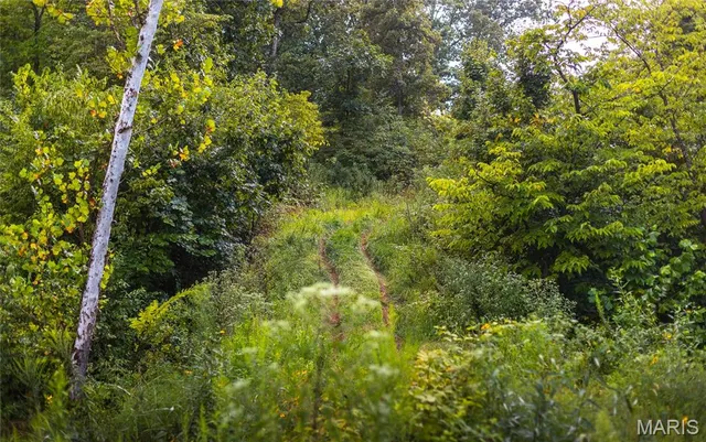 $349,900 | 0 Highway 67, Festus, MO 63028