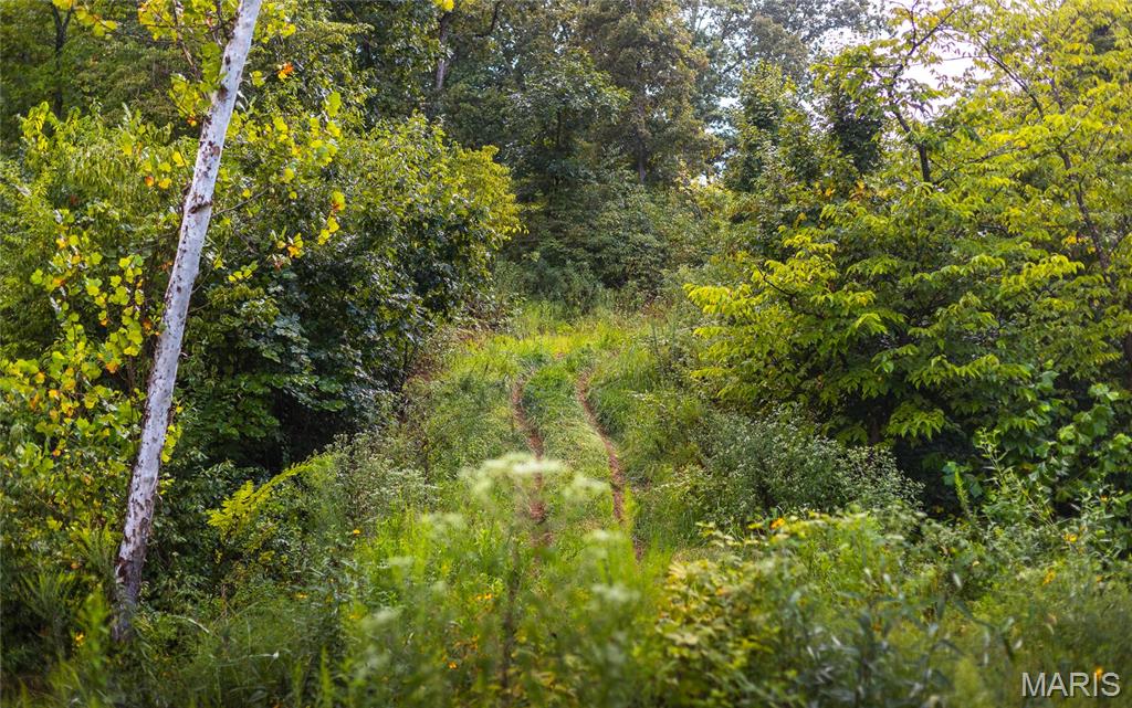 0 Highway 67 Festus, MO 63028 - Photo 13 of 38